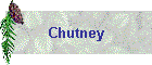 Chutney