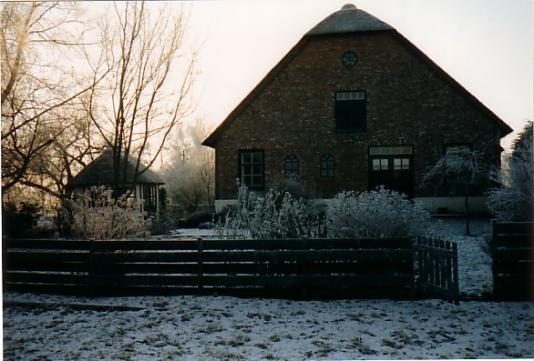 achtertuin winter