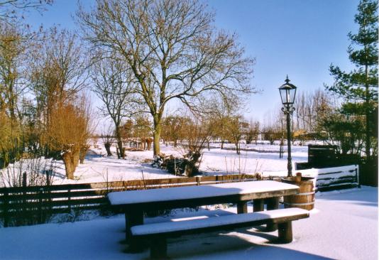 terras winter
