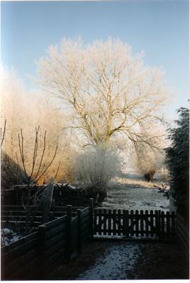 boomgaard winter