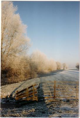 buurland winter