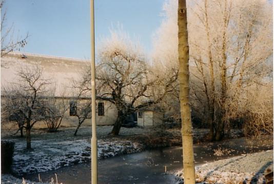 zijtuin winter