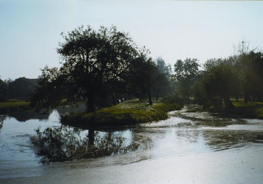wetering